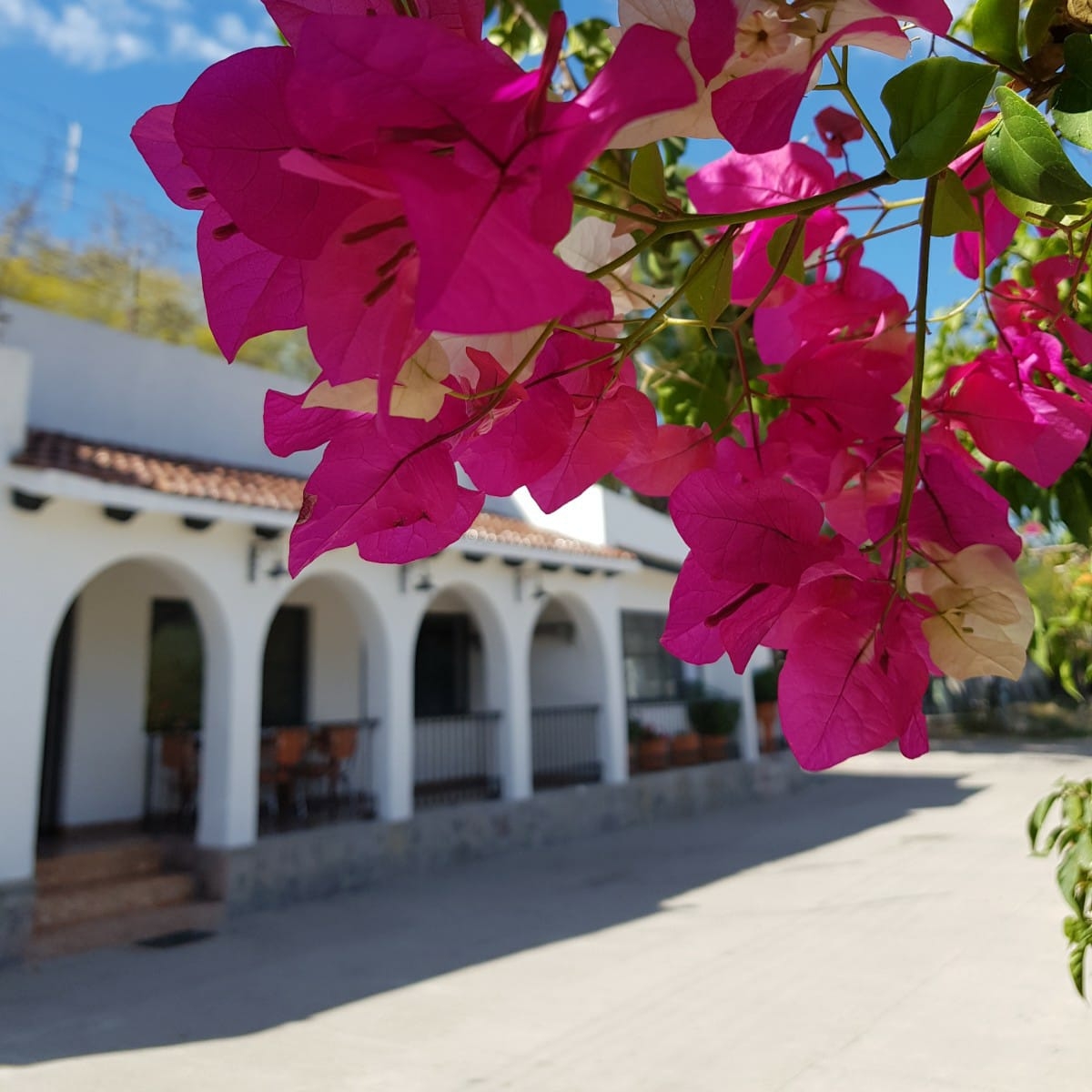 Restaurant Galicia, Santa Catarina, San Luis Potosi